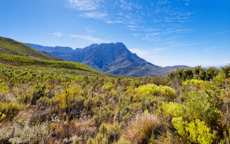 eco-cabins-breede-valley-mountains-min