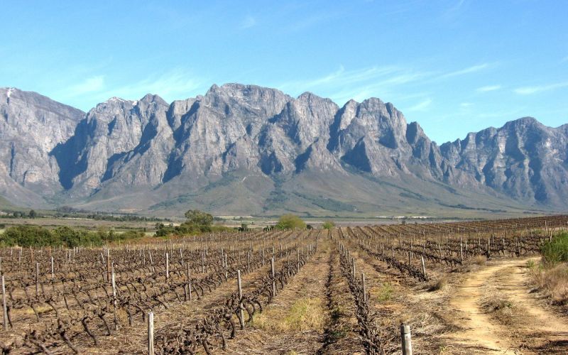eco-cabins-vineyards-min