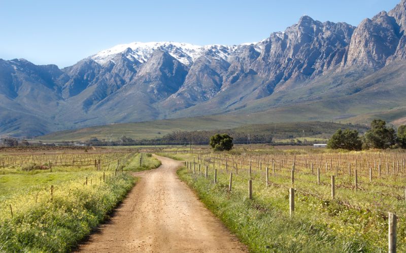 eco-cabins-western-cape-views-min