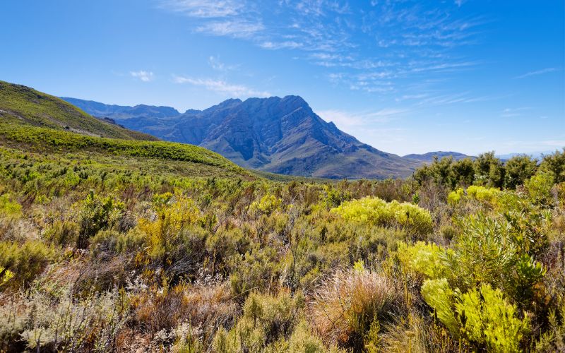 mountain-cabins-western-cape-worcester-min