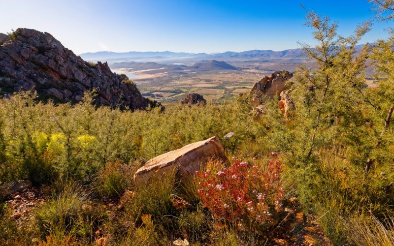 eco-cabins-mountain-wilderness-min