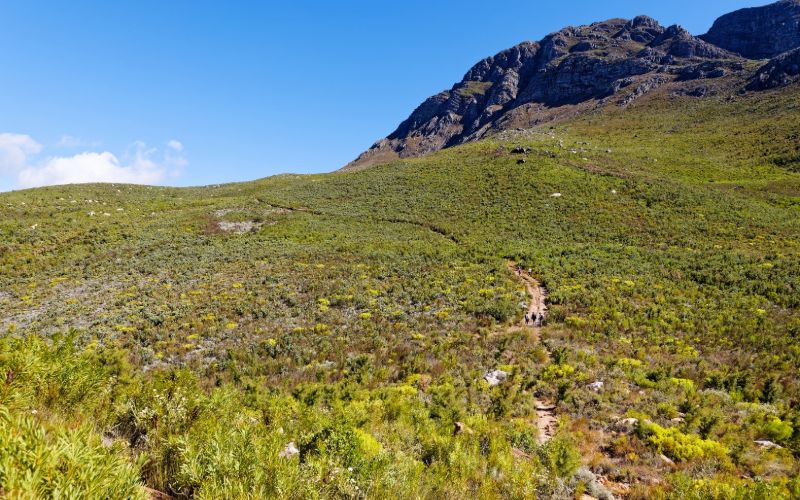 eco-cabins-western-cape-vast-mountain-region-min